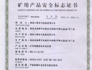 礦用隔爆型機(jī)車逆變器192(主司控)